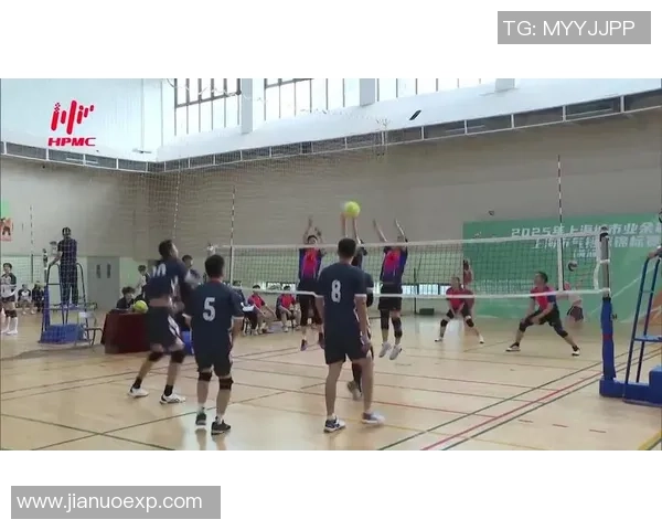 上海排球队包夹战术创新引领新潮流助力球队崛起